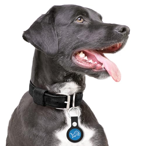 NFL Detroit Lions AirTag Holder Keychain - 2-Pack for Dogs & Cats