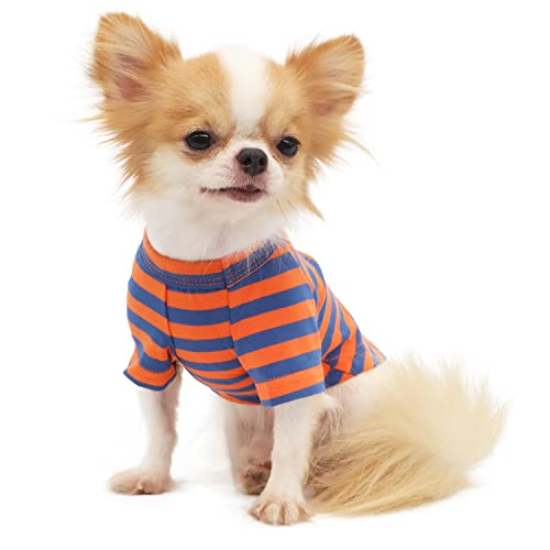 Medium Breathable Cotton Dog T-Shirt for Small Dogs Chihuahua Puppy - Orange & Blue Stripes