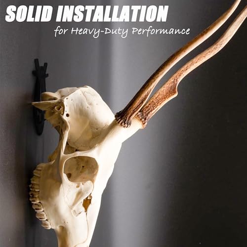 Heavy Duty European Mount Skull Hanger Kit - 3 Pcs