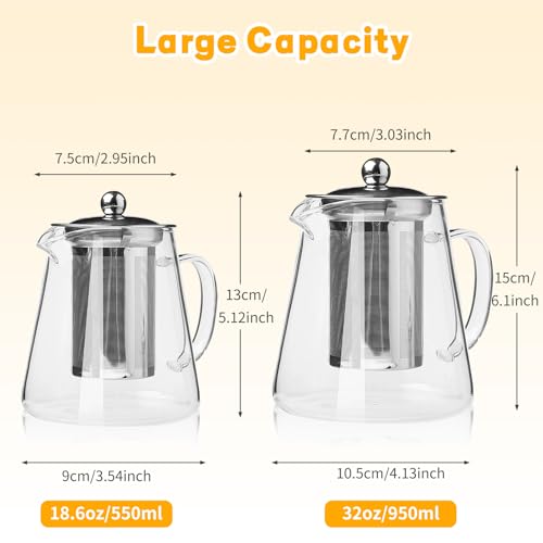Borosilicate Glass Teapot with Stainless Steel Infuser - 550ML