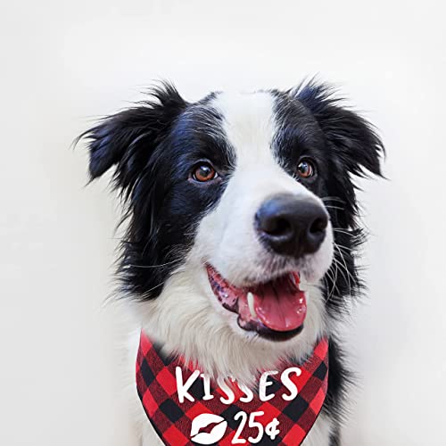 Valentine Dog Bandana - Red Buffalo Plaid Pet Scarf - Kisses 25 - Small