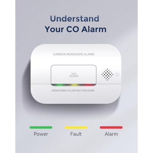 Ecoey Carbon Monoxide Detectors, 10-Year CO Detector with Human Alarm Sounds and Test Button, Carbon Monoxide Alarm Replaceable Battery-Operated for House and Bedroom, FJ127, 2 Packs