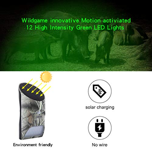 Vizzlema Solar Green Feeder Light with Motion Sensor for Night Hunting