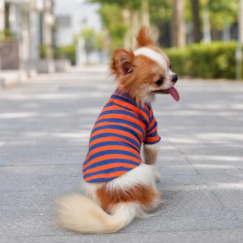 Medium Breathable Cotton Dog T-Shirt for Small Dogs Chihuahua Puppy - Orange & Blue Stripes