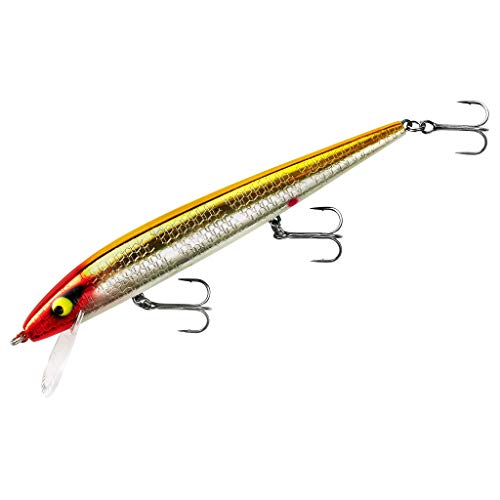 Smithwick Perfect 10 Rogue Fishing Lure Clown - Deep-Diving Jerkbait for Bass