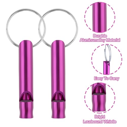 Aluminum Alloy Emergency Safety Whistle Keychain - 12 Pack