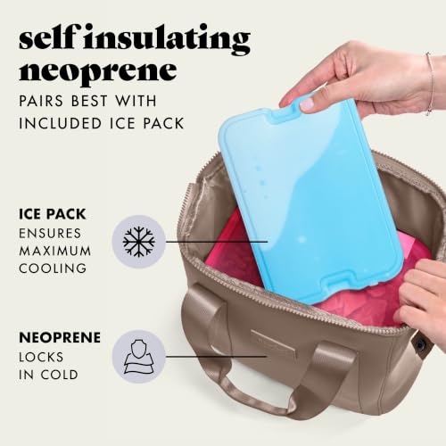 Fit & Fresh Remi Neoprene Lunch Bag for Women - Taupe, Includes Ice Pack & Containers