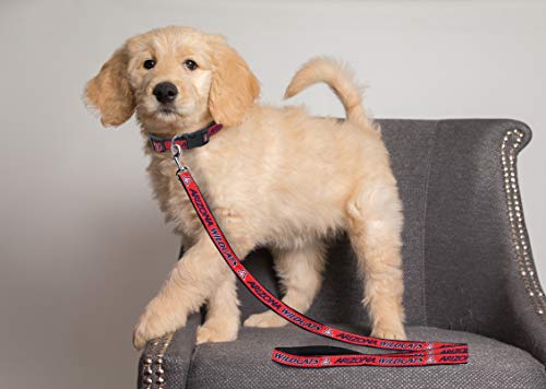 NCAA Dog Leash - Large Arizona Wildcats, Durable Nylon Pet Leash