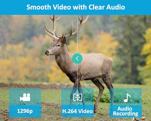 64MP Trail Camera with 1296P HD Video & No-Glow Night Vision