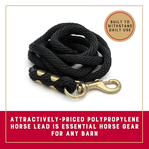 8' Horse Lead Rope - Black, Brass-Plated Snap, Comfortable Grip