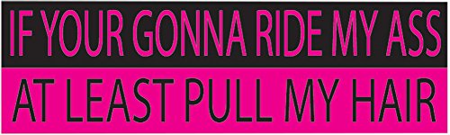 Funny Auto Decal Bumper Sticker - Pull My Hair - 10in x 3in