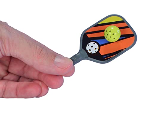 World's Smallest Pickleball Paddles & Balls Set with Case