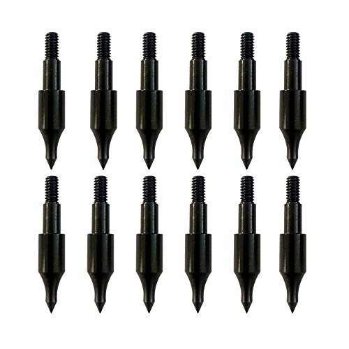 100 Grain Archery Field Points - 12 Pack Screw-In Practice Arrow Tips