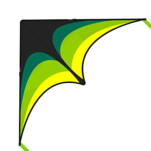 Delta Kite for Kids 63"x30" - Easy to Fly Beach Kite with 300ft String