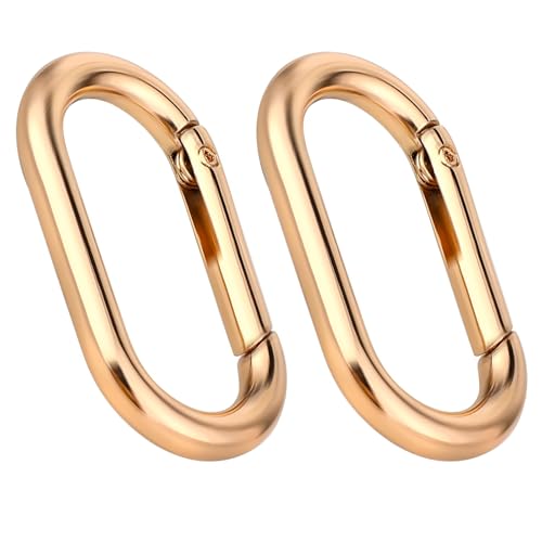2 Pcs Gold Carabiner Key Clips - Heavy Duty Spring O Ring for Bags & Keys