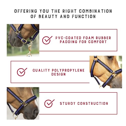 Breakaway Horse Halter with Comfort Foam Padding - Black