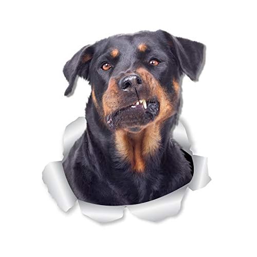 Winston & Bear 3D Funny Rottweiler Stickers - 2 Pack - Rottweiler Wall Decals - Dog Lover Gifts - Dog Stickers for Bedroom - Fridge - Toilet - Car - Retail Packaged