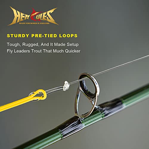 Pre-Tied Loop Fly Fishing Leader 6 Pack - 9FT 4X 4.9LB