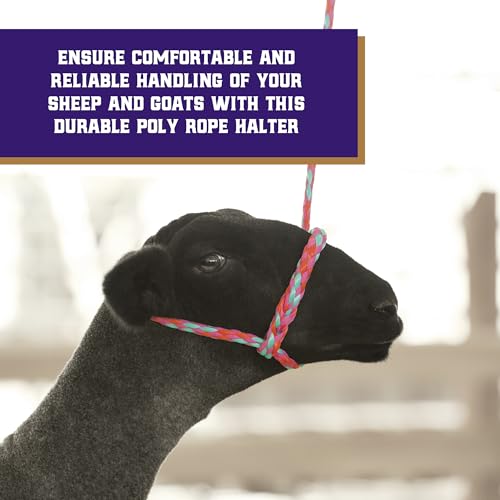 Adjustable Braided Poly Rope Sheep & Goat Halter with Lead - Hot Pink/Coral/Mint