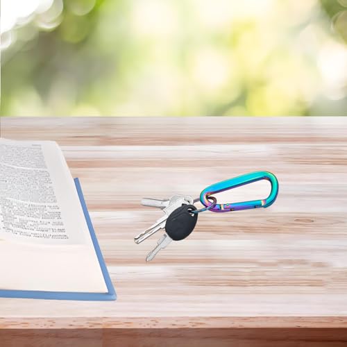 Colorful Carabiner Clip - 3" Aluminum D-Ring with Keyring (2PCS)