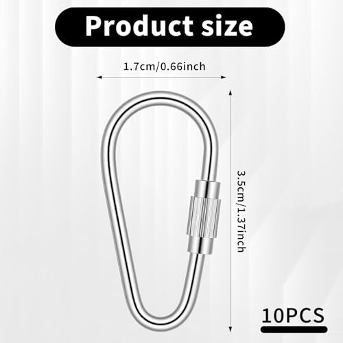 10 Pack Small Locking Carabiner Clips - Stainless Steel for Keys & Camping