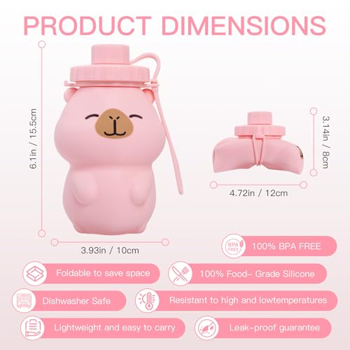 Kawaii Capybara Collapsible Water Bottle - 17oz Pink