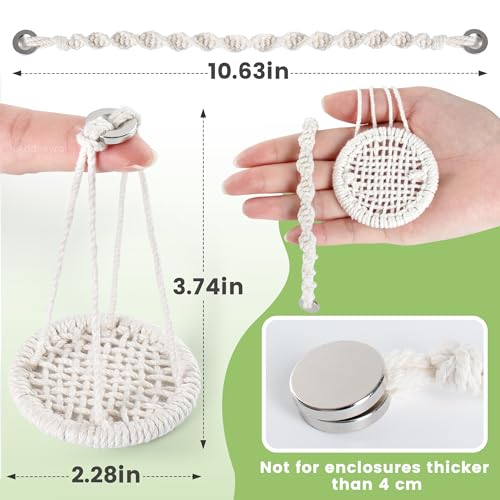 Jumping Spider Swing and Climbing Rope - 2 Piece Set