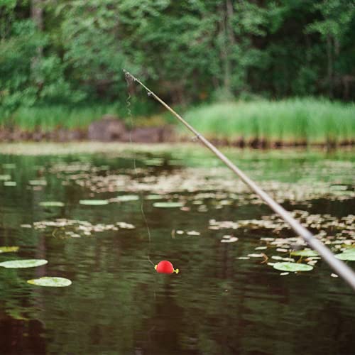 15 Pcs Fishing Bobbers Slip Floats Set - Small & Large Unweighted