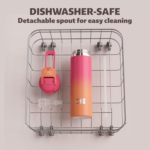 OISIZ Sunset Insulated 24 oz Water Bottle with 2-in-1 Straw & Spout Lid, Leakproof & Keeps Cold 24H