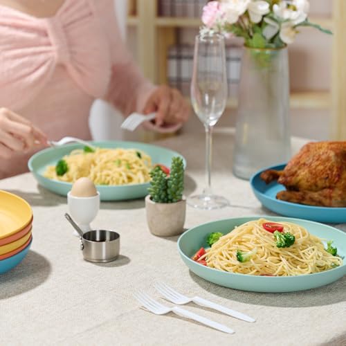 Luckore 9 Inch Wheat Straw Plates, Deep Dinner Plates Set of 12
