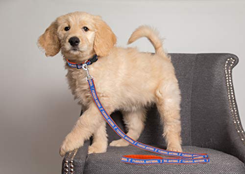 NCAA Florida Gators Dog Leash - Heavy-Duty Large Size