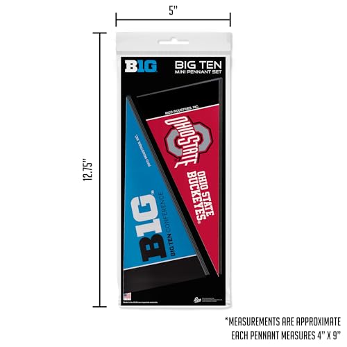 NCAA Big Ten Mini Pennant Set - 4" x 9" Felt Decor