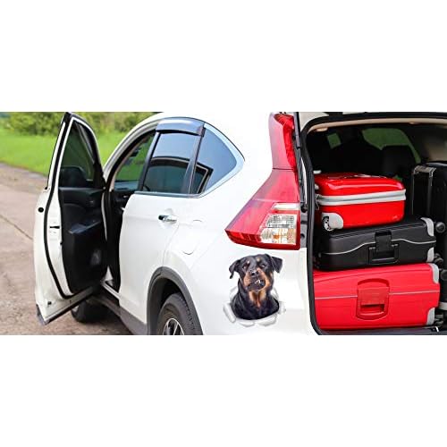 Winston & Bear 3D Funny Rottweiler Stickers - 2 Pack - Rottweiler Wall Decals - Dog Lover Gifts - Dog Stickers for Bedroom - Fridge - Toilet - Car - Retail Packaged
