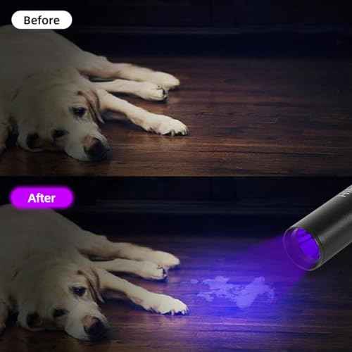 10 Pack Rechargeable Black Flashlight Small UV Black Flash Light 395 NM, Mini USB C LED Blacklight Flashlights Handheld Torch for Pet Dog Urine Resin Curing Fluorescent Agent Stains Detection