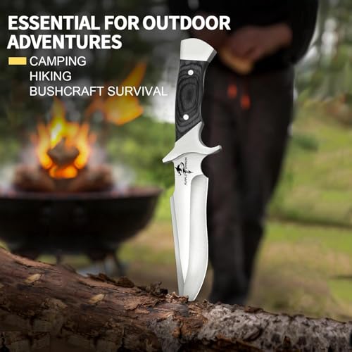 Purple Dragon 5.8 Inch Camping Fixed Blade Knife with Sheath - Full Tang 440C Steel, Redwood Handle, Outdoor Gear