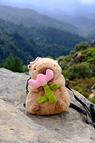 CHALKMATE Capybara Flower Plush Chalk Bag for Climbing & Bouldering