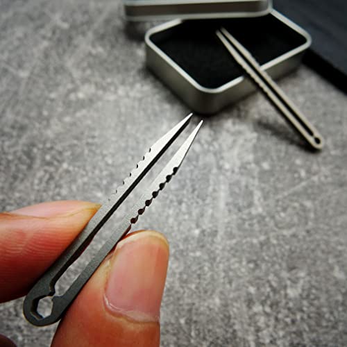 Mini Titanium Alloy Tweezers Set - 2pcs Portable Silver