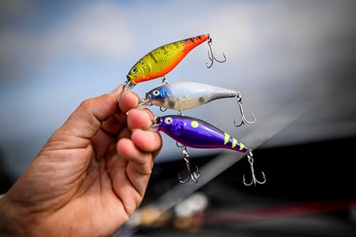 Berkley Flicker Shad Freshwater Crankbait - Firetail Chrome Candy, 2 3/4 in