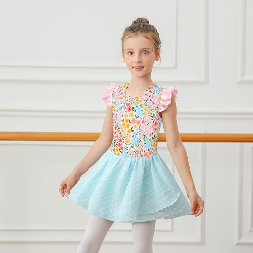 Ballet Leotard for Girls - Ruffle Sleeve Tutu Dress 5T Flower Blue