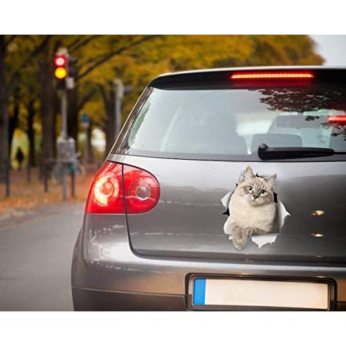 Winston & Bear 3D Cat Stickers - 2 Pack - Siberian Kitty Cat Decals for Wall - Stickers for Bedroom - Fridge - Toilet - Room - Retail Packaged