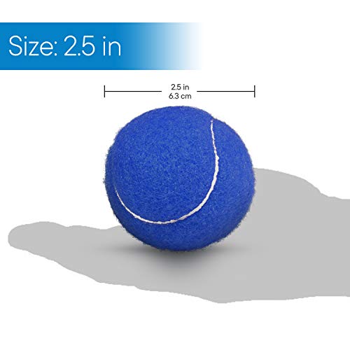 Walker Glide Balls - Precut Openings for Easy Installation - Blue, 4 Count