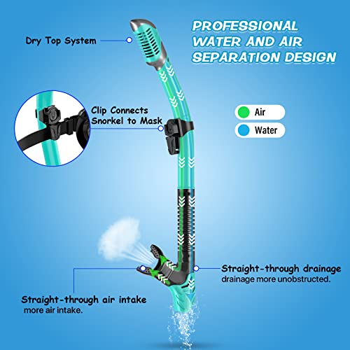 Greatever Snorkeling Mask Set for Adults & Kids, Anti-Fog Dry Snorkel, Black Green, Large