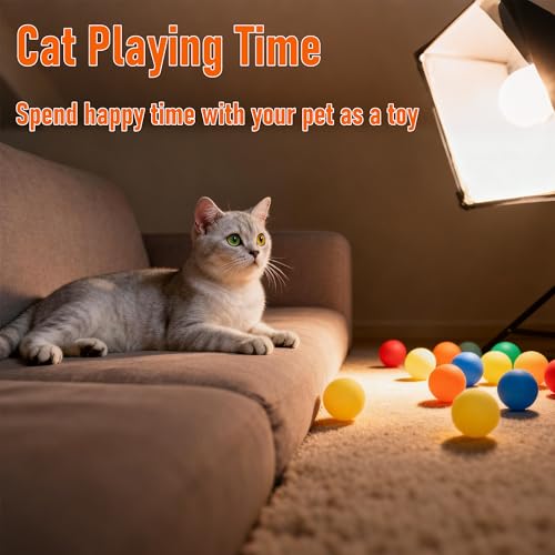 Colorful Ping Pong Balls in Bucket - 14 Pack - 12 PP & 2 ABS Balls