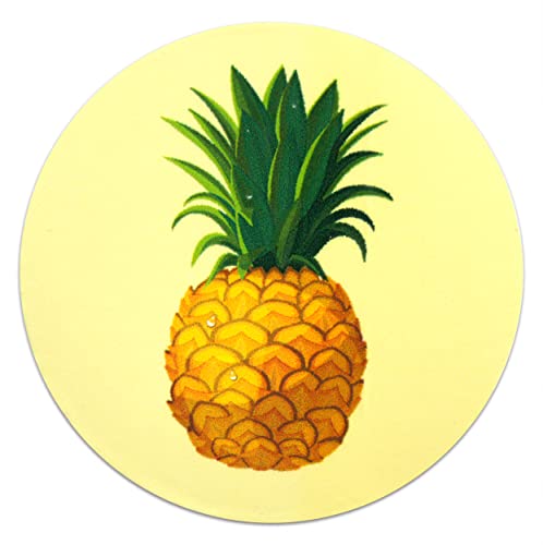 Pineapple Fruit Vinyl Stickers - 2" Round Decals - 20 Pack