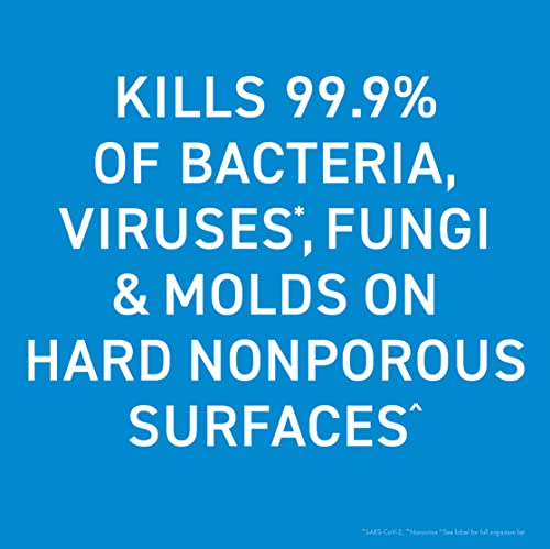 Bioesque Botanical Disinfectant Solution - Heavy Duty Sanitizer, Kills 99.9% Bacteria & Viruses, 1 Gallon
