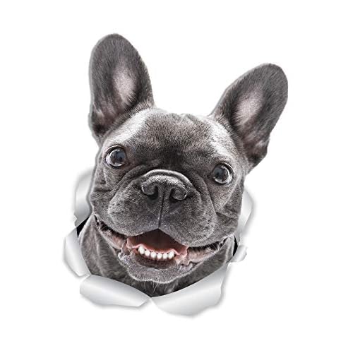 Winston & Bear Smiling Frenchie Dog Wall Decals - 2 Pack - French Bulldog 3D Sticker Decals for Walls, Cars, Toilet and More - Retail Packaged French Bulldog Gifts