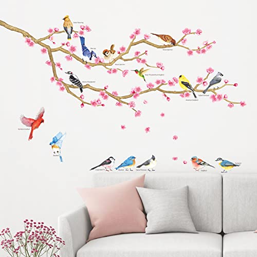 DECOWALL WL2-2009 Garden Birds and Cherry Blossom Wall Stickers Wall Decals Peel and Stick Removable Wall Stickers for Kids Nursery Bedroom Living Room d?cor