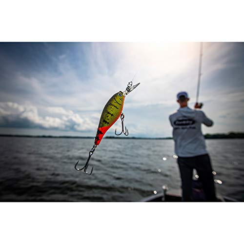 Flicker Shad Fishing Lure - Black Gold Sunset, 2in, 3/16 oz