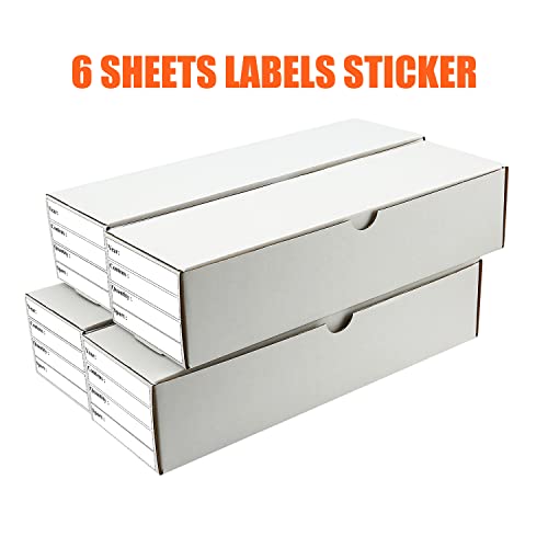 White 4-Pack Top Loader Card Storage Boxes for Trading & Sports Cards