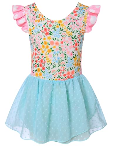 Ballet Leotard for Girls - Ruffle Sleeve Tutu Dress 5T Flower Blue